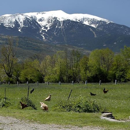Mas Mallol Puigcerdà Exteriör bild
